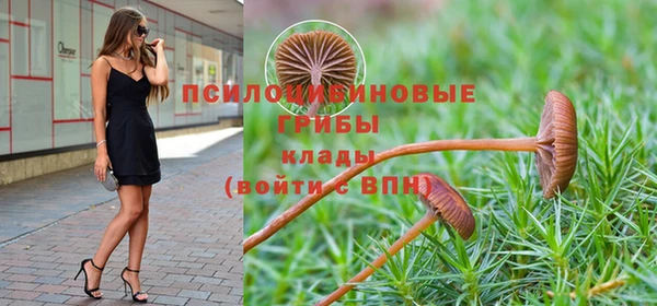 гидра Медногорск