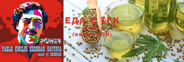 гидра Медногорск