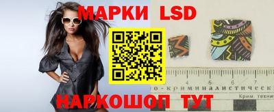 mdpv Новодвинск