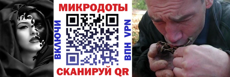 Купить где  Ржев  Галлюциногенные грибы GOLDEN TEACHER 