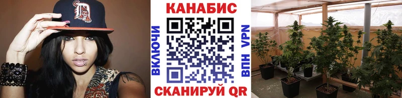 Шишки марихуана VHQ  Купить закладки  Ржев 