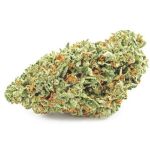 Шишки OG Kush  (Гидропоника, бошки) VHQ в Ржеве